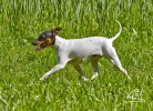 Copyright: Gerda Burian Copyright: Gerda Burian