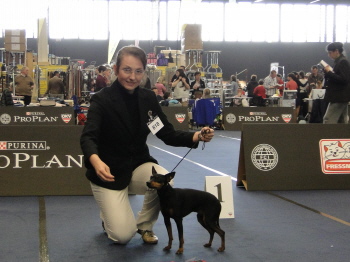 1. Platz Champion Klasse WDS Salzburg / "Cosmo"