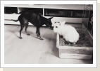 ... und seinem Freund - Lucky ... und seinem Freund - Lucky